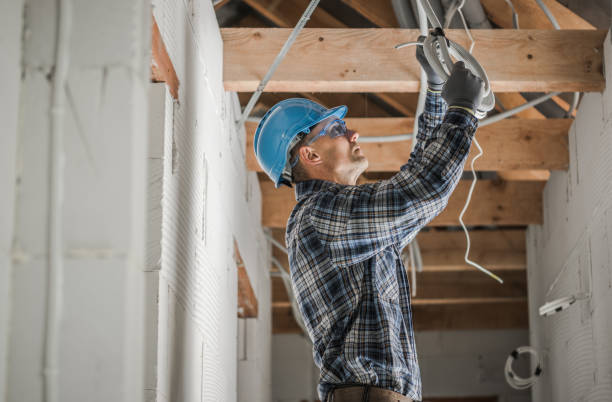 Best Electrical Upgrades for Homes  in Fairview Shores, FL